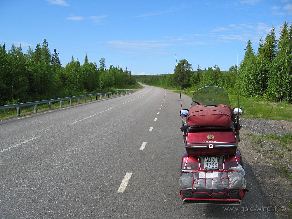 102_0223.JPG - Svezia: verso sud su una strada secondaria (a 110 km/h legali) nella foresta