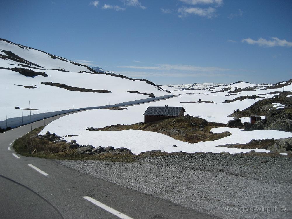 IMG_0342.JPG - Discesa dal passo Sognefjell (m 1.415)
