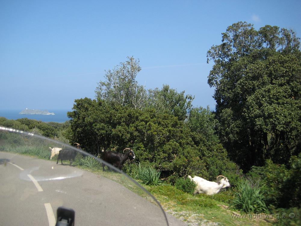 IMG_0082.JPG - Strada per Barcaggio