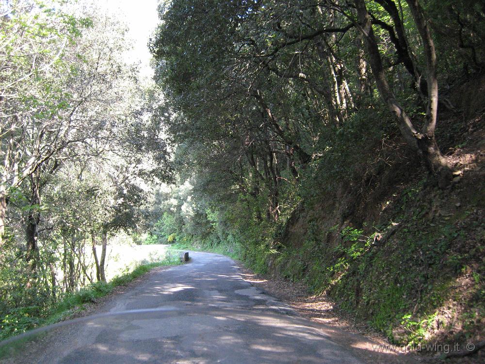 IMG_0130.JPG - Discesa verso Centuri