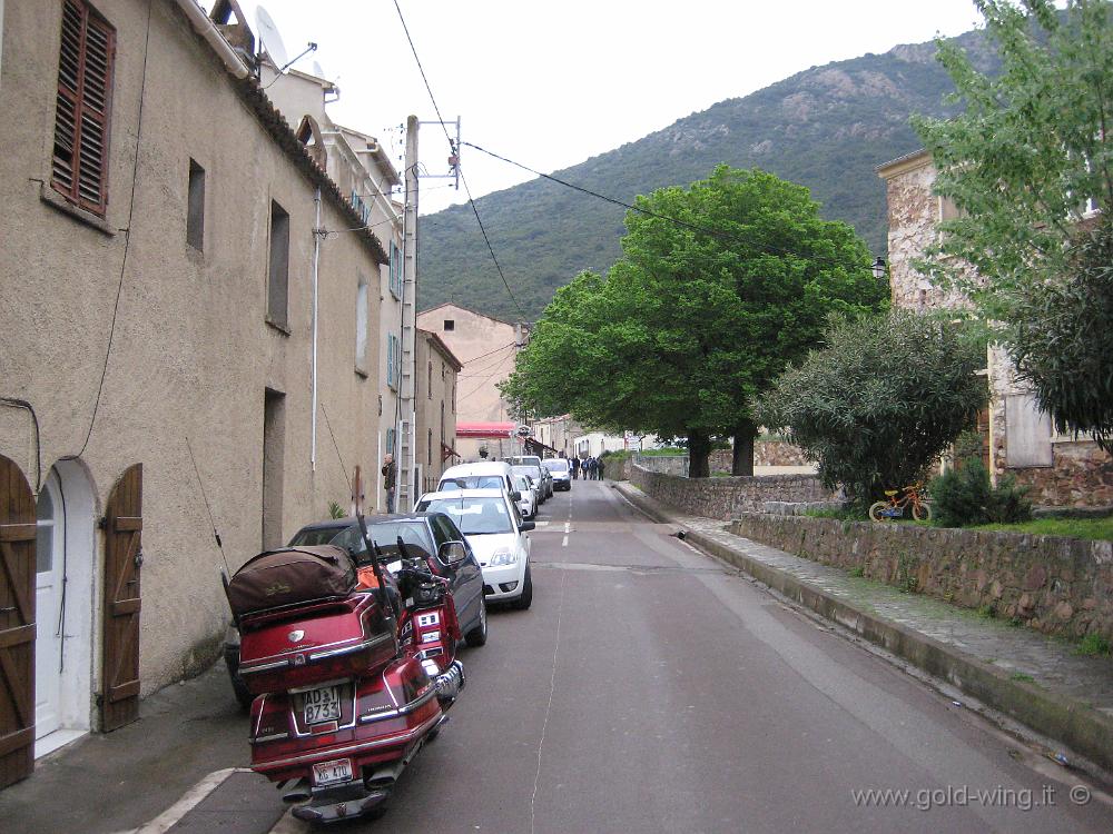 IMG_0310.JPG - Galeria