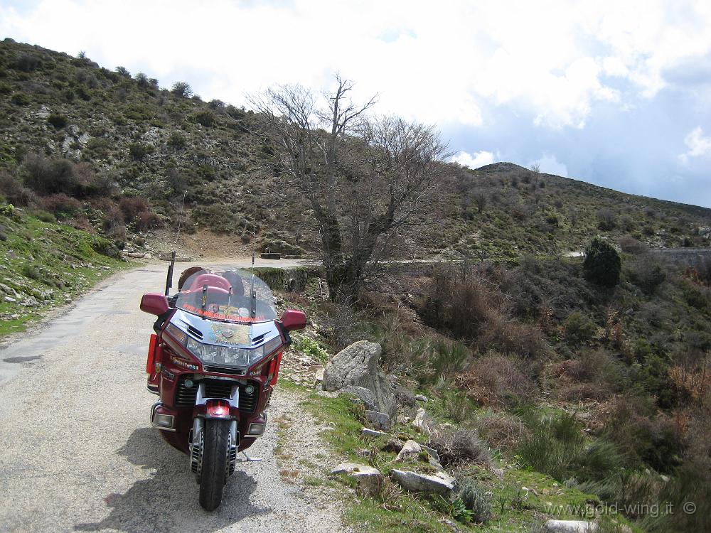 IMG_0686.JPG - Discesa dal Col de la Vaccia (m 1.193)