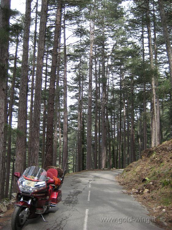 IMG_0722.JPG - Salita al Col de Sorba (m 1.311)