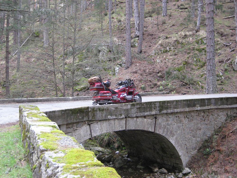 IMG_0724.JPG - Salita al Col de Sorba (m 1.311)