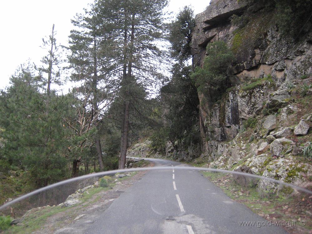 IMG_0840.JPG - Gole della Restonica