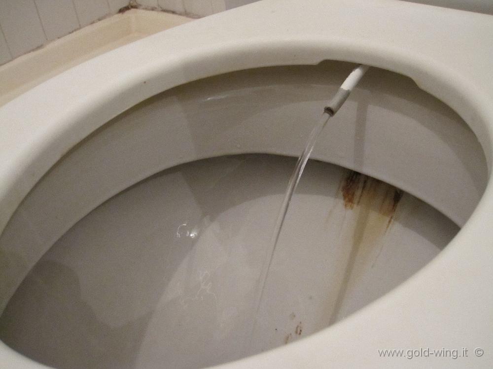 IMG_0131.JPG - Bidet turco: 2 in 1