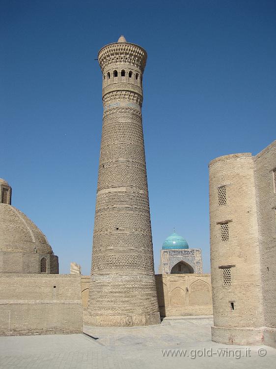 IMG_0772.JPG - Bukhara (Uzbekistan): minareto Kalon