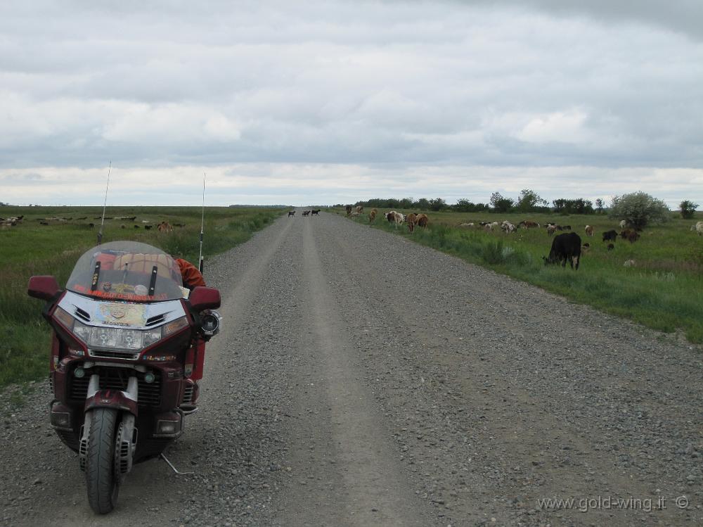IMG_1269.JPG - Kazakistan: a 16 km dal confine russo di Karacuk, l'asfalto finisce e arriva prima la ghiaia ...