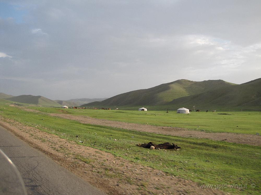 IMG_1771.JPG - Tra Bayangol e Ulan Bator (Mongolia): gher nella steppa