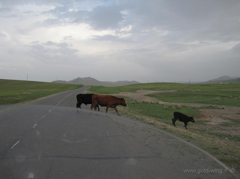 IMG_1779.JPG - Tra Bayangol e Ulan Bator (Mongolia)