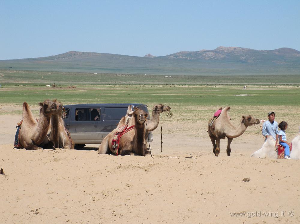 IMG_2190.JPG - Mongol Els (Mongolia): cammelli e bambini mongoli