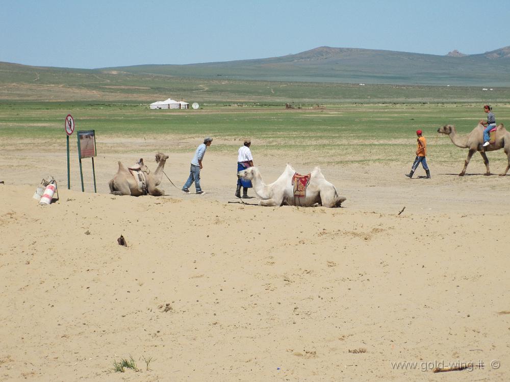 IMG_2197.JPG - Mongol Els (Mongolia): cammelli