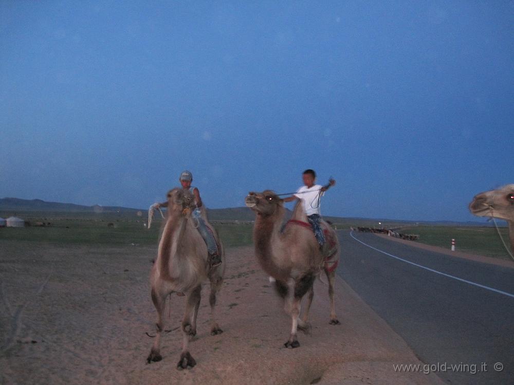 IMG_2235.JPG - Mongol Els (Mongolia): cammelli e bambini mongoli