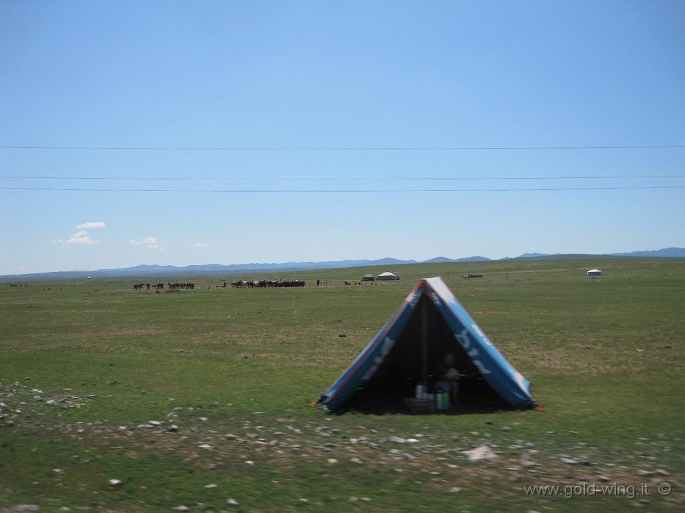 IMG_2286.JPG - Tra le Mongol Els e Ulan Bator (Mongolia)