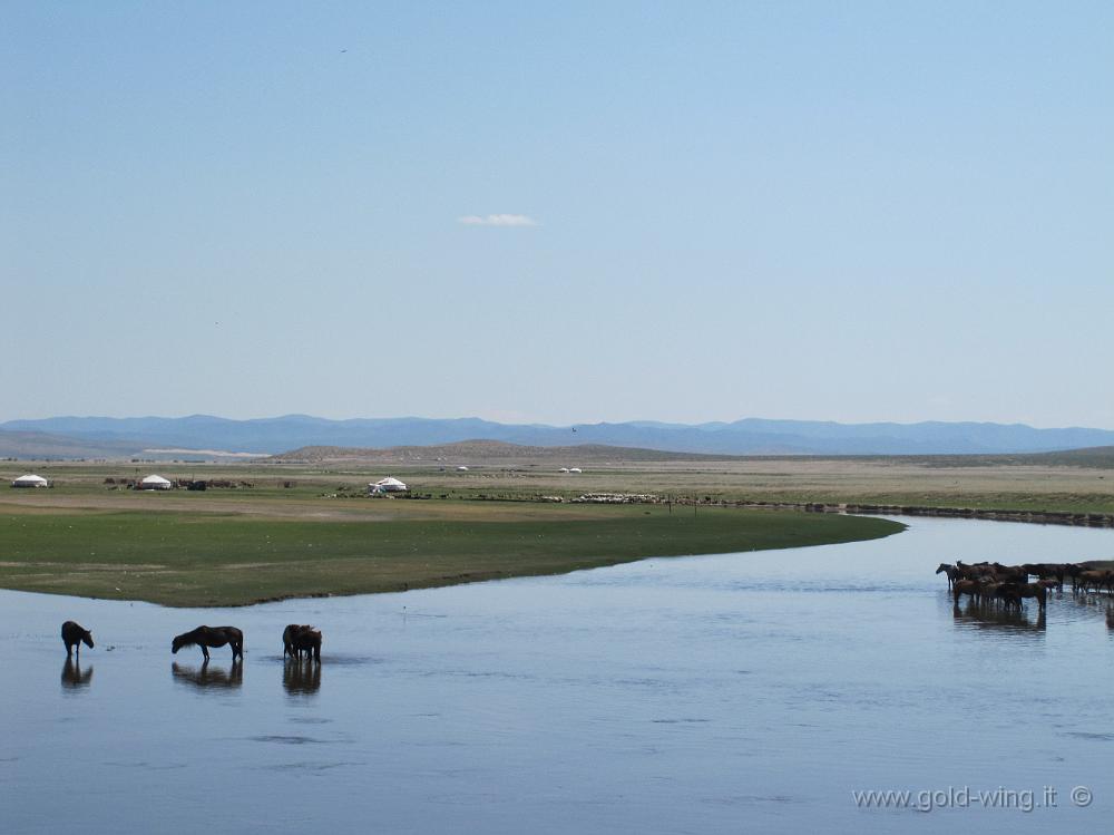 IMG_2322.JPG - Tra le Mongol Els e Ulan Bator (Mongolia)