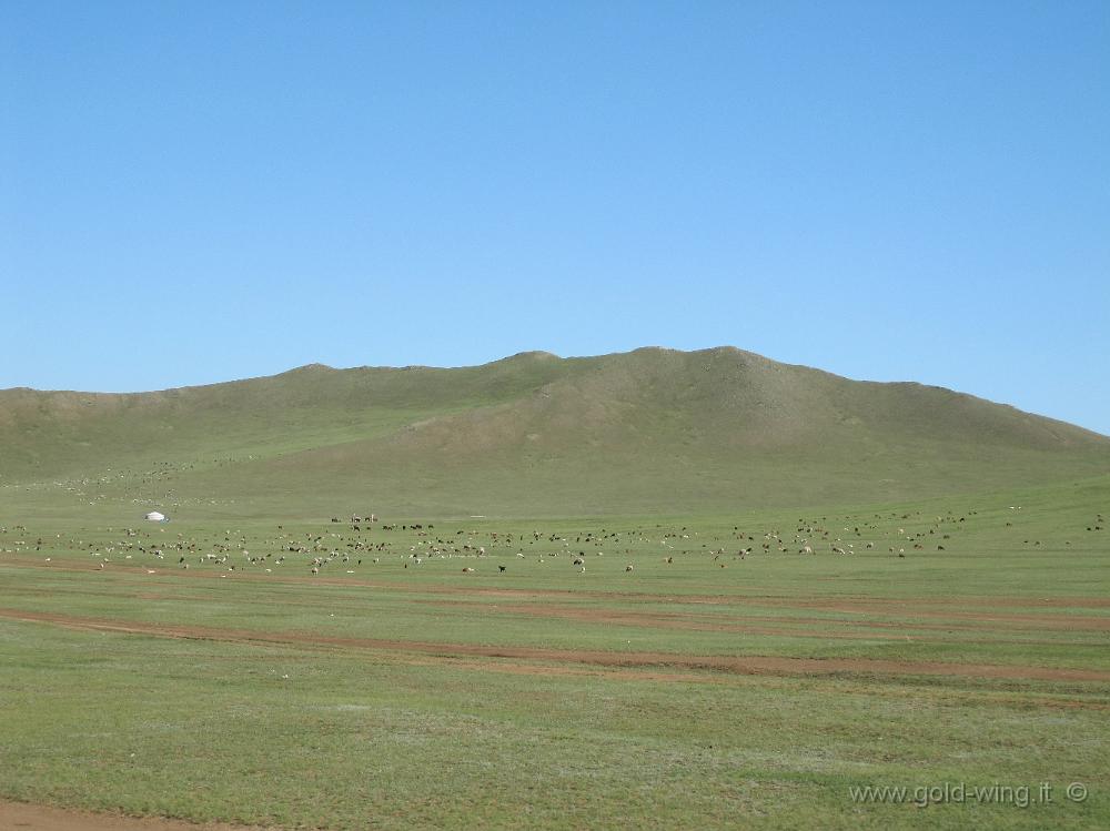 IMG_2346.JPG - Pista tra le Mongol Els e Ulan Bator (Mongolia)