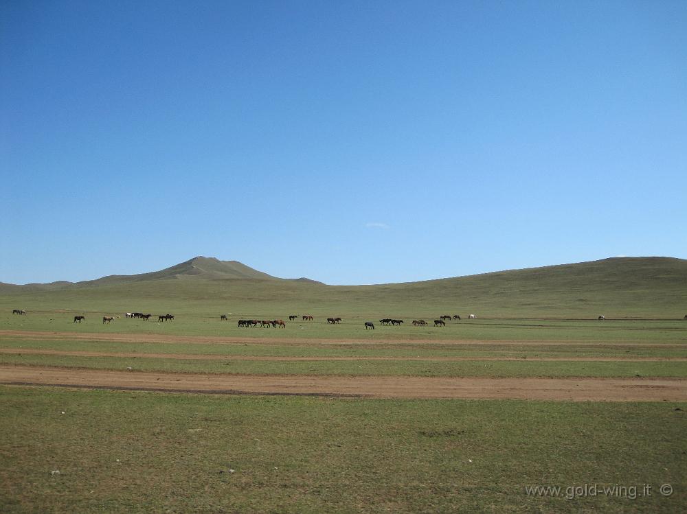 IMG_2347.JPG - Pista tra le Mongol Els e Ulan Bator (Mongolia)