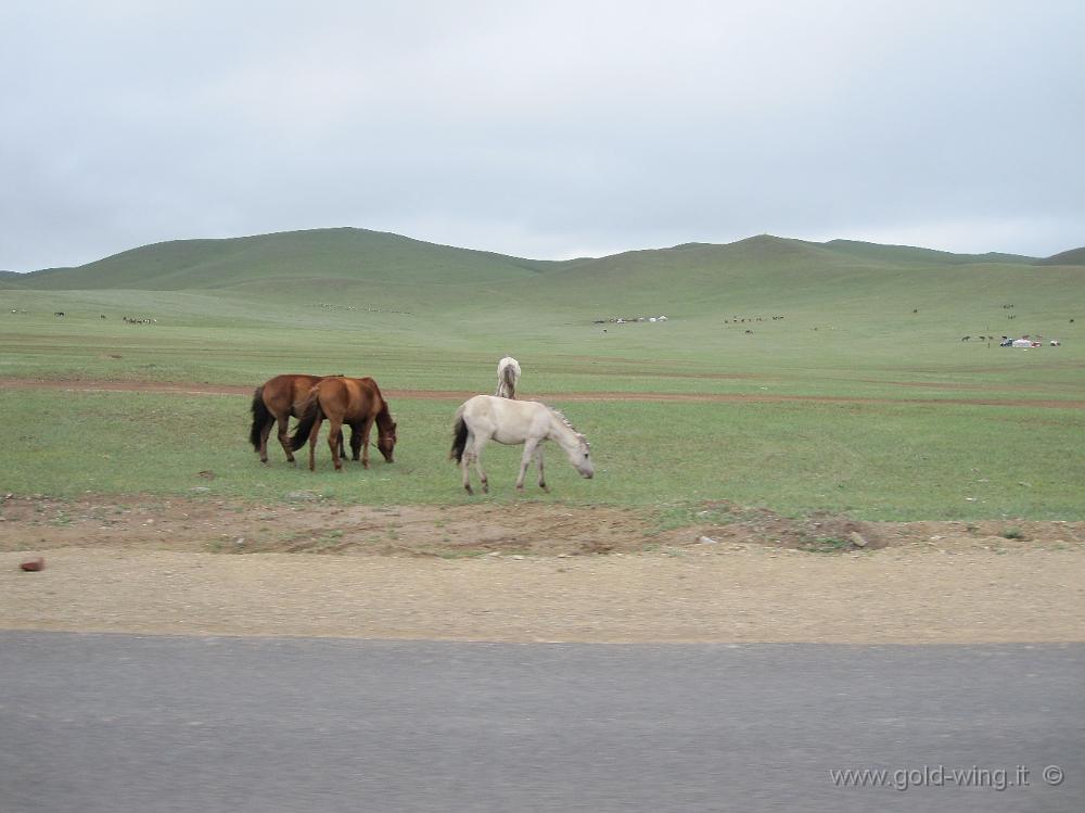 IMG_1928.JPG - Tra Ulan Bator e Lun (Mongolia)