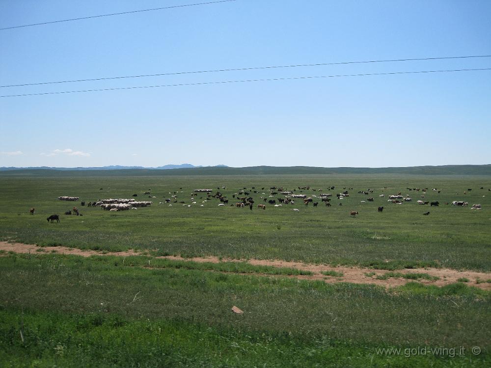 IMG_2283.JPG - Tra le Mongol Els e Ulan Bator (Mongolia)