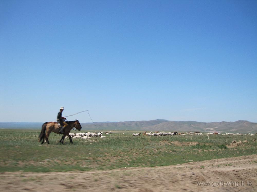 IMG_2358.JPG - Presso Bayangol (Mongolia): cavaliere