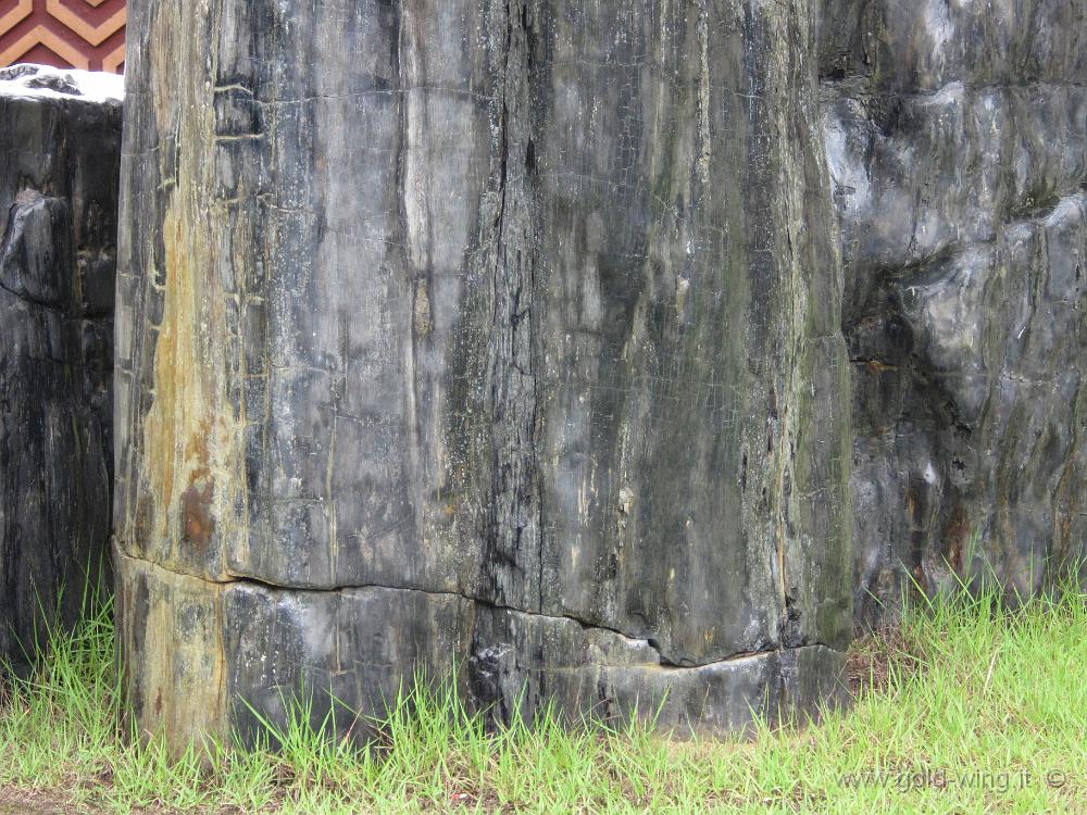 IMG_3684.JPG - Davanti al tempio - Tronchi di legno silicizzato (fossile), vecchi di 4.400 anni, proveniente dallIndonesia