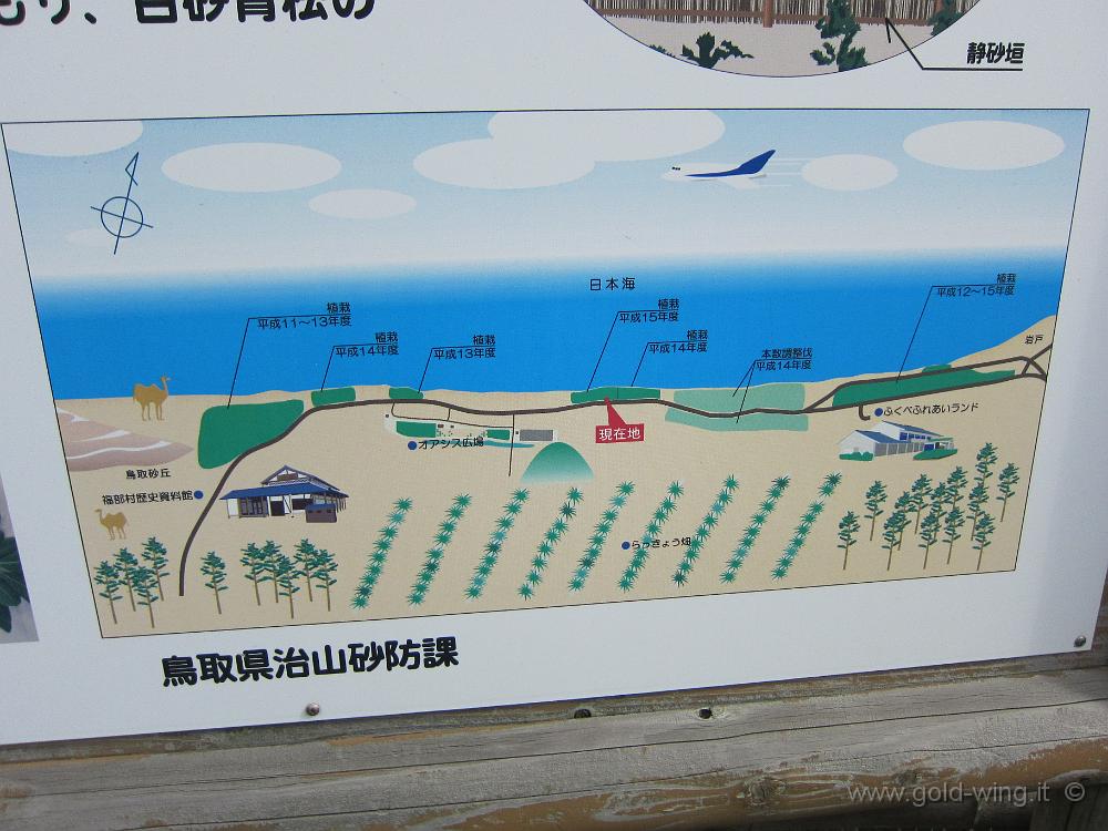 IMG_5600.JPG - Parco nazionale San'in Kaigan - Dune di sabbia di Tottori