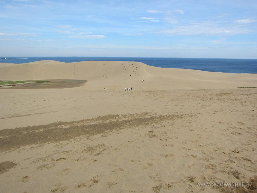 IMG_5627.JPG - P.n. San'in Kaigan - Dune di sabbia di Tottori: lunghezza km 10, larghezza km 2, altezza m 47