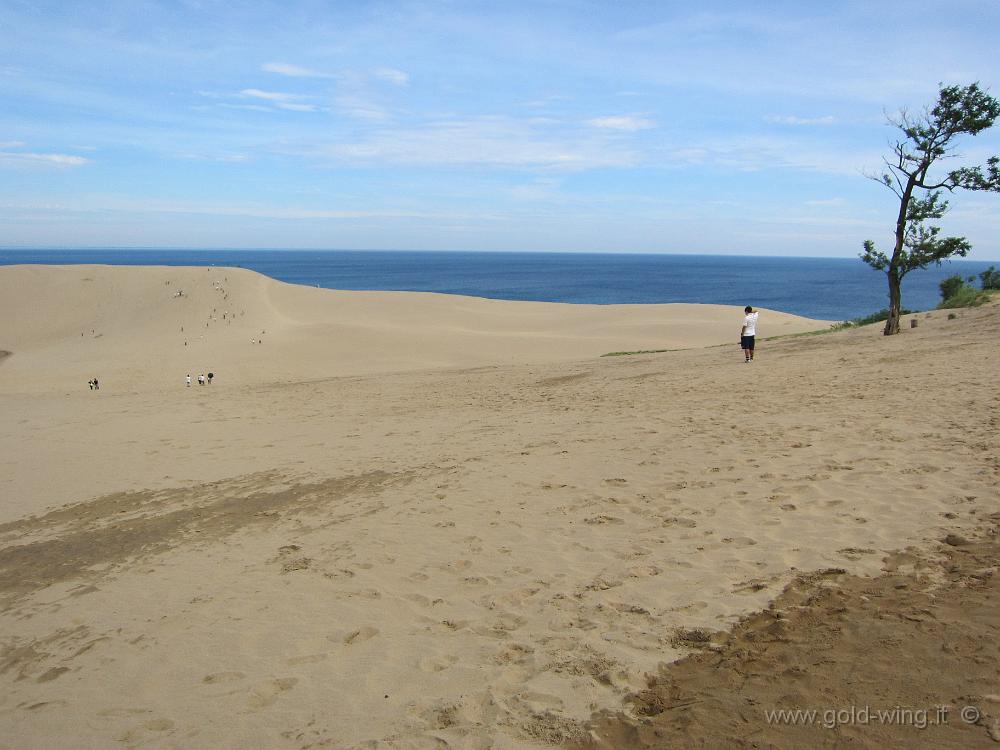 IMG_5628.JPG - P.n. San'in Kaigan - Dune di sabbia di Tottori: lunghezza km 10, larghezza km 2, altezza m 47