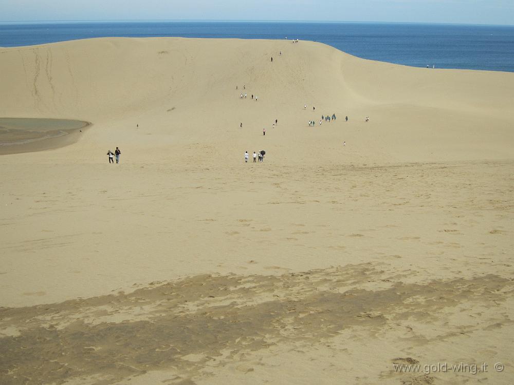 IMG_5632.JPG - P.n. San'in Kaigan - Dune di sabbia di Tottori: lunghezza km 10, larghezza km 2, altezza m 47