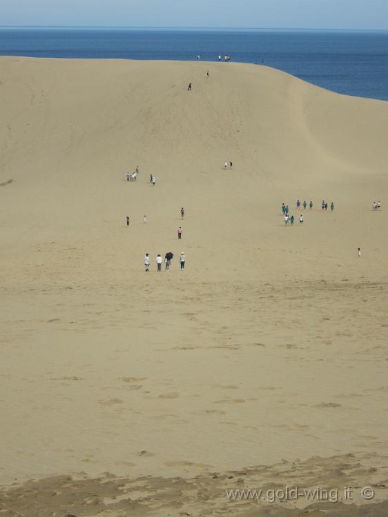 IMG_5634.JPG - P.n. San'in Kaigan - Dune di sabbia di Tottori: lunghezza km 10, larghezza km 2, altezza m 47