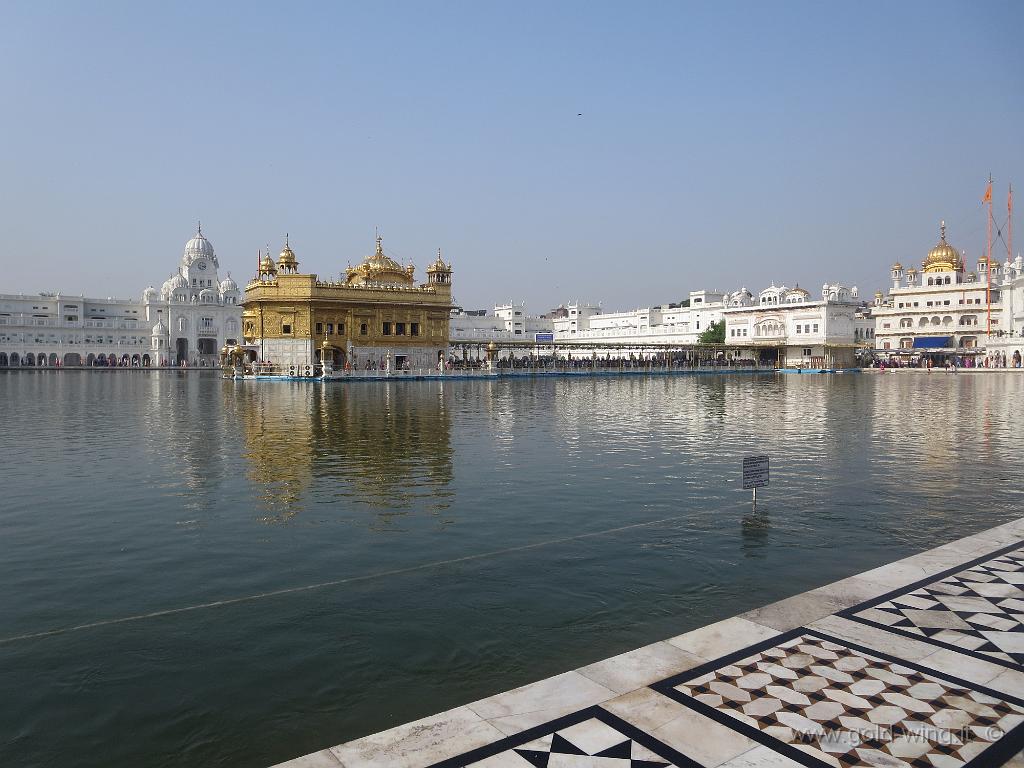 IMG_2046.JPG - 17.10 - Amritsar (India): il Golden Temple dei sikh