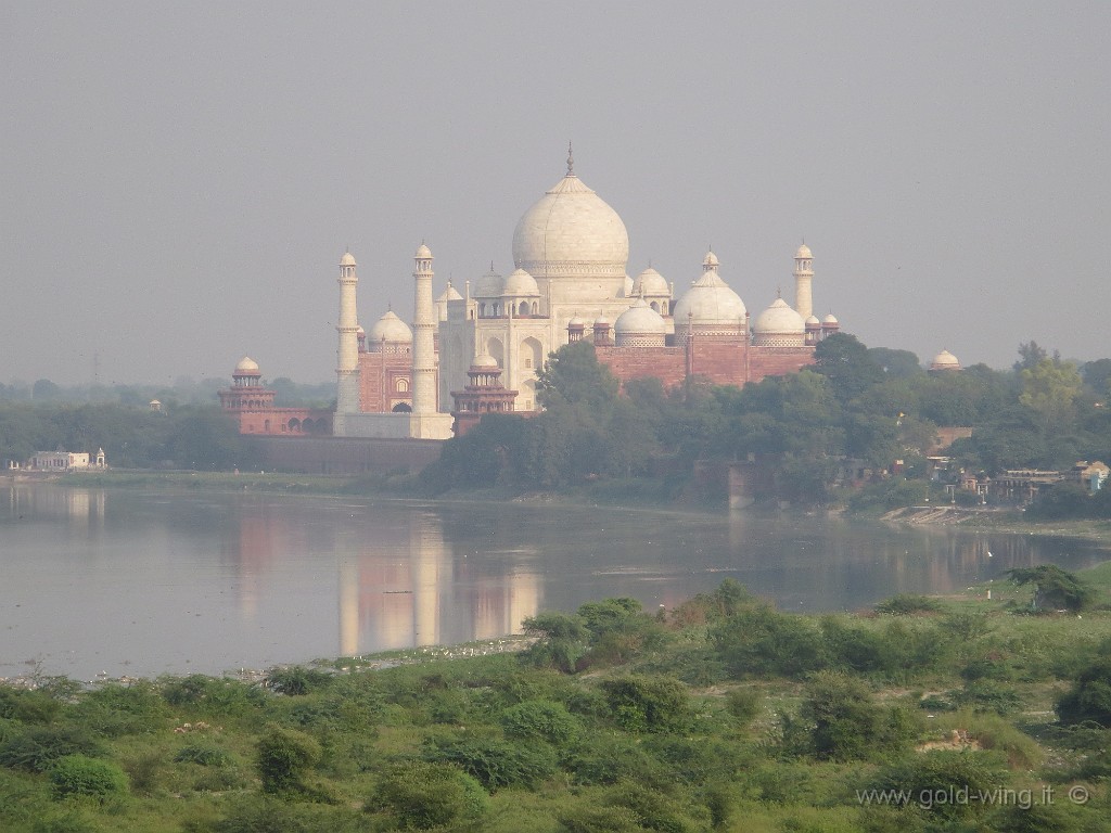 IMG_2368.JPG - Il Taj Mahal visto dall'Agra Fort