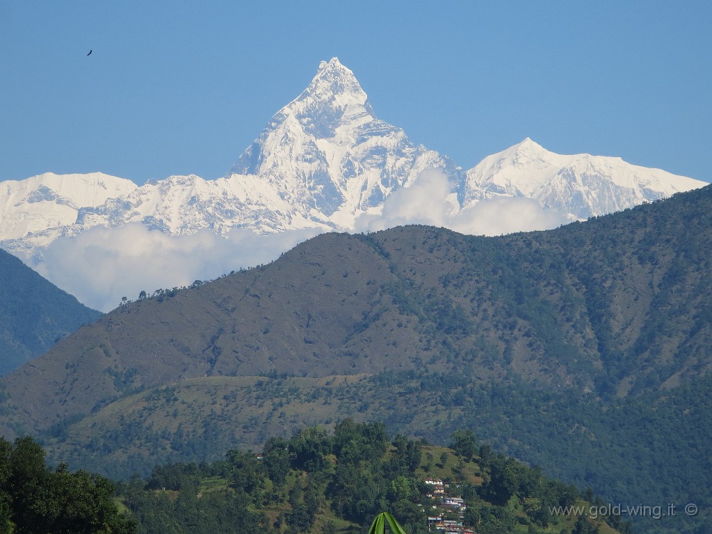 IMG_2814.JPG - Tra Butwal  e Pokhara: il monte sacro, inviolato, Machhapuchhare (m 6.993), nel gruppo dell'Annapurna (m 8.091)