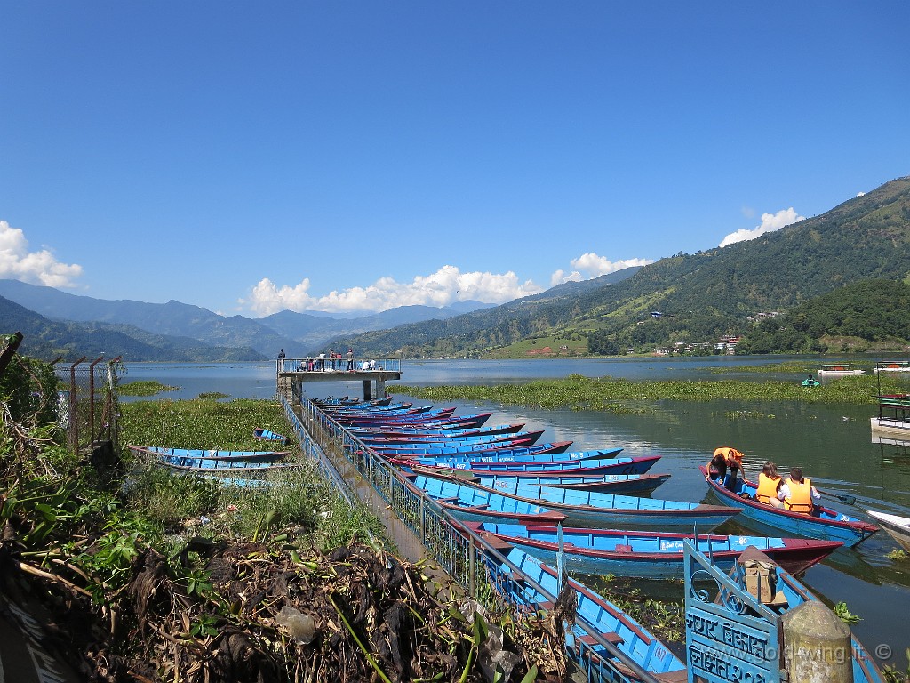 IMG_2838.JPG - Lago di Pokhara