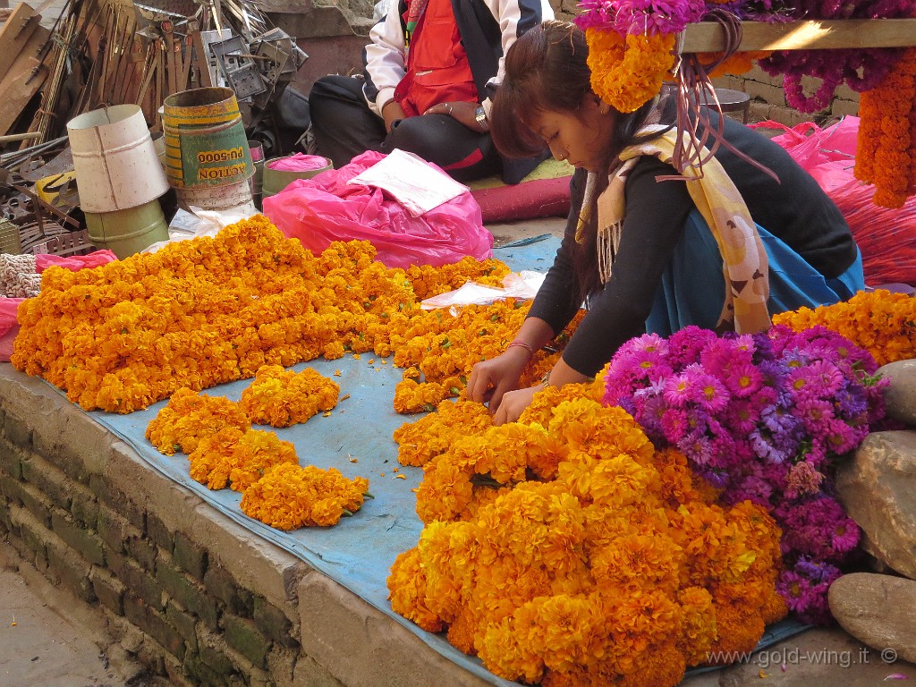 IMG_3315.JPG - Kathmandu