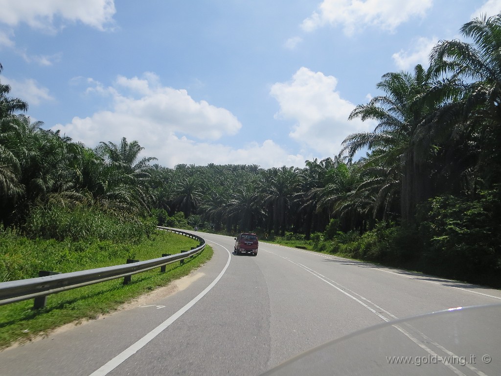 IMG_3972.JPG - Salita verso le Cameron Highlands