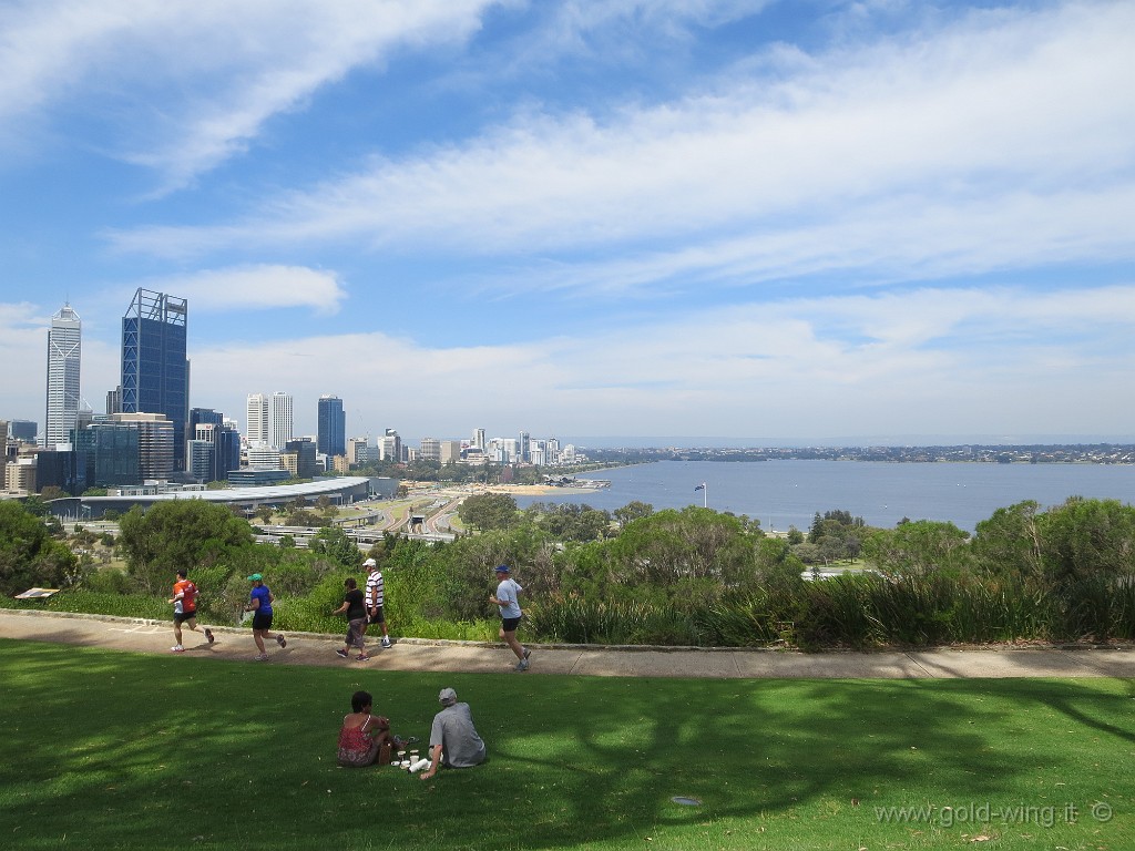 IMG_4438.JPG - Perth: King Gardens