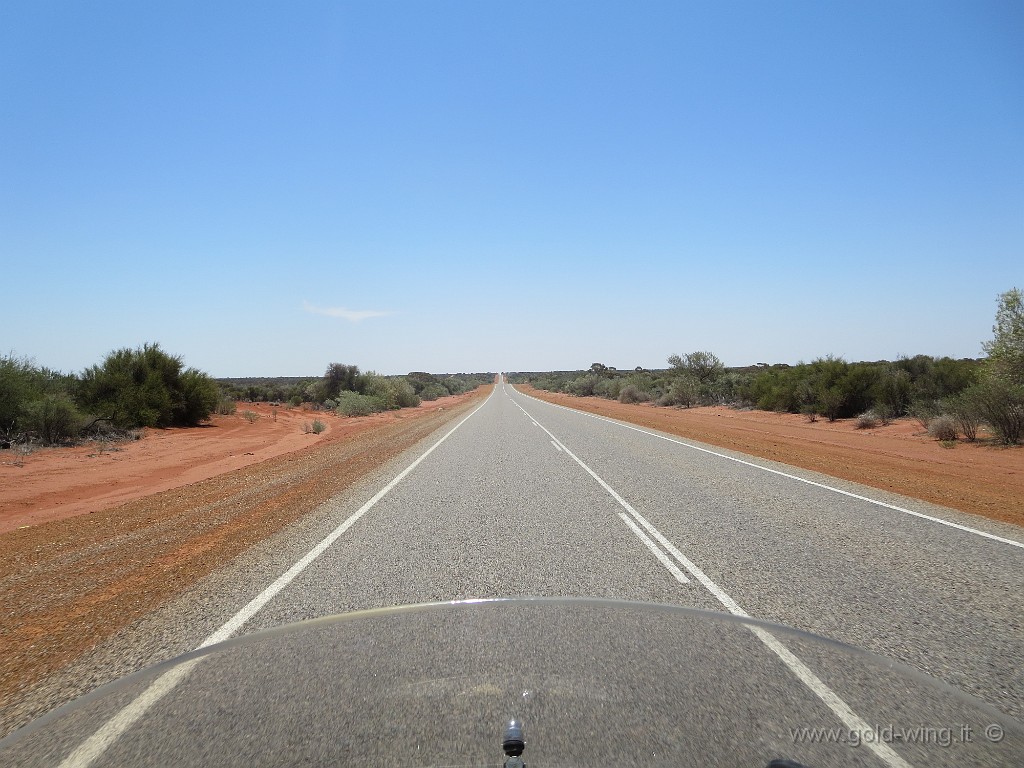 IMG_4661.JPG - Australia Occidentale: la lunga strada verso nord