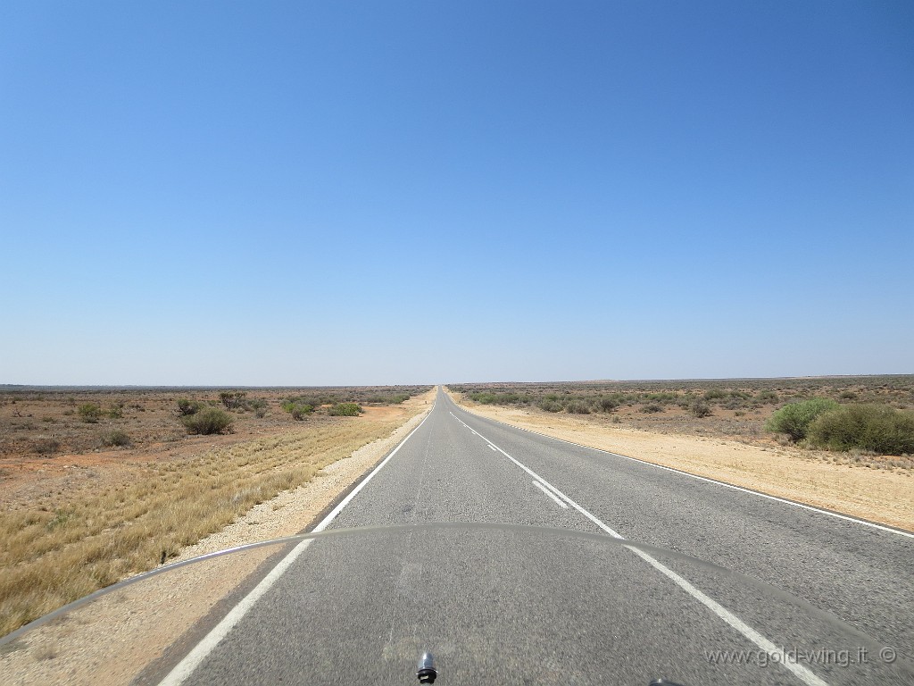 IMG_4683.JPG - Australia Occidentale: la lunga strada verso nord, ormai nel deserto