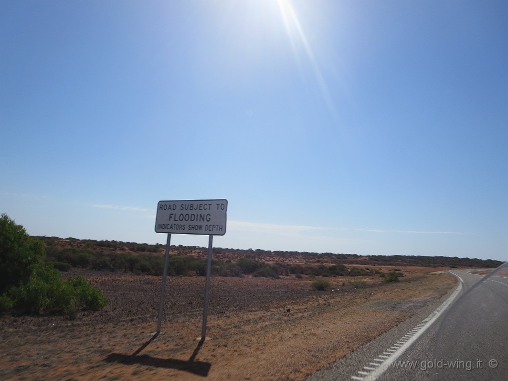 IMG_4690.JPG - Strada nel deserto, ma soggetta ad allagamenti