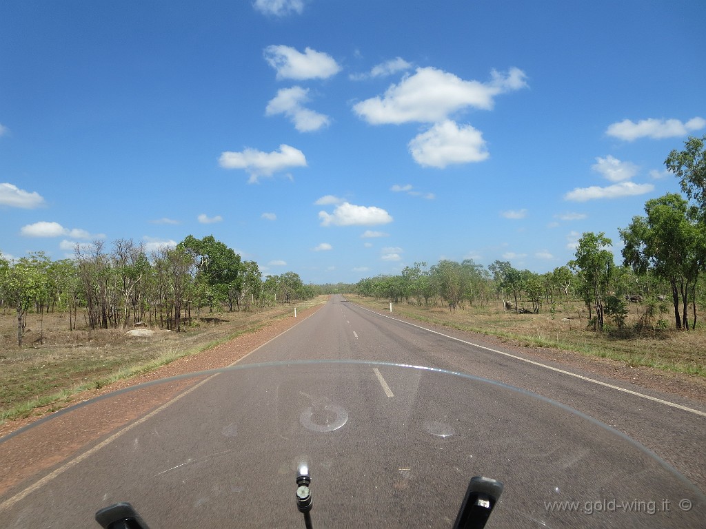 IMG_5237.JPG - 200 km a sud di Darwin
