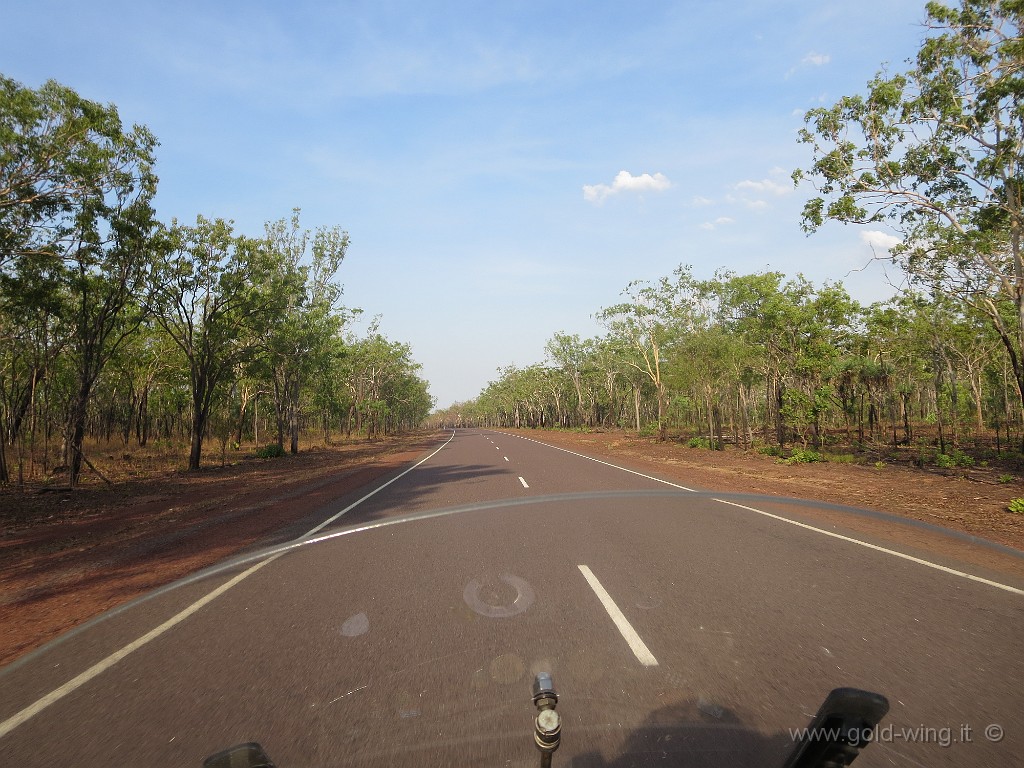 IMG_5380.JPG - Parco Nazionale del Kakadu