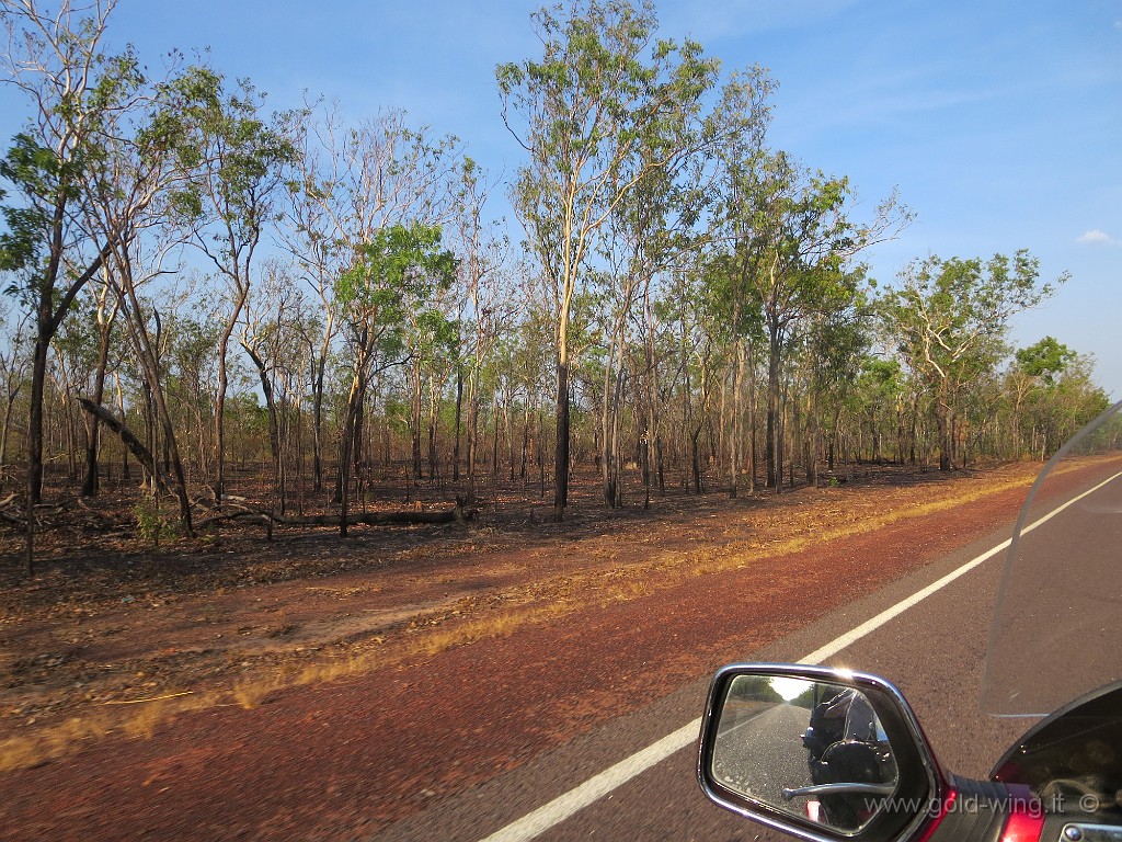 IMG_5387.JPG - Parco Nazionale del Kakadu: gli incendi sono frequenti e normali, la vegetazione ricresce subito