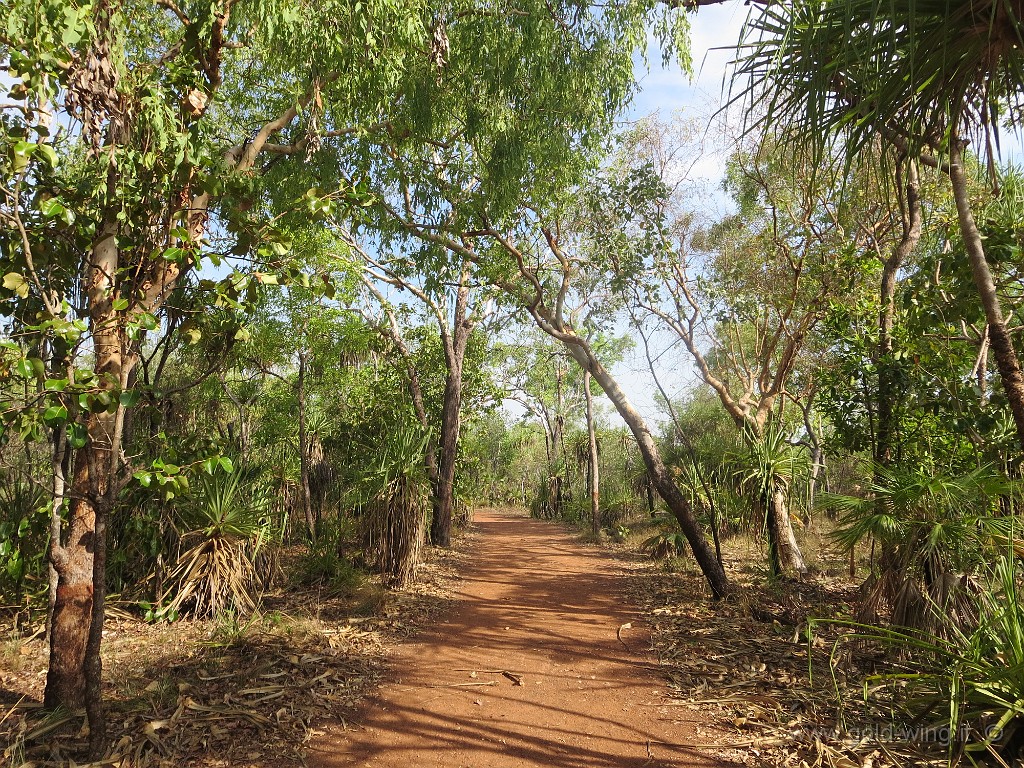 IMG_5467.JPG - Parco Nazionale del Kakadu: Ubirr