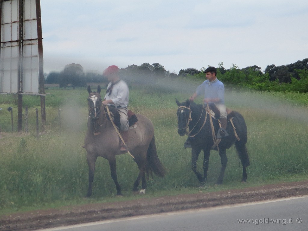 IMG_7603.JPG - San Antonio de Areco: gauchos