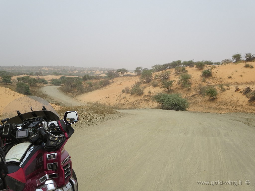 IMG_0480.JPG - Su e giù lungo la pista nel deserto