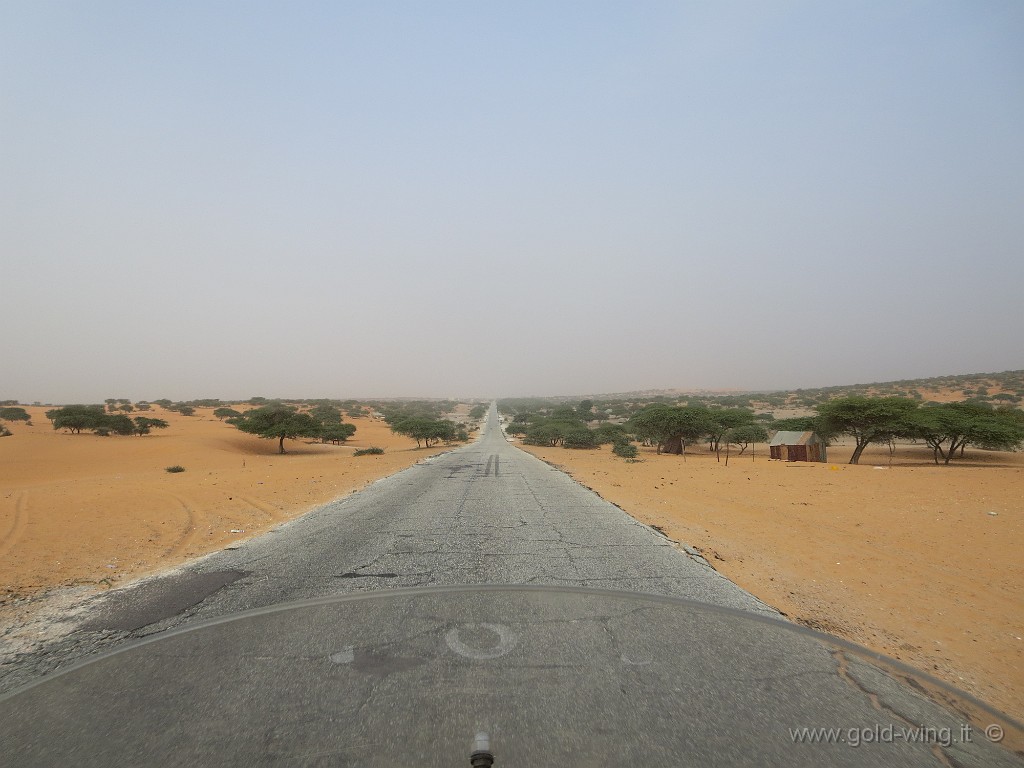 IMG_0514.JPG - La strada per Nouakchott