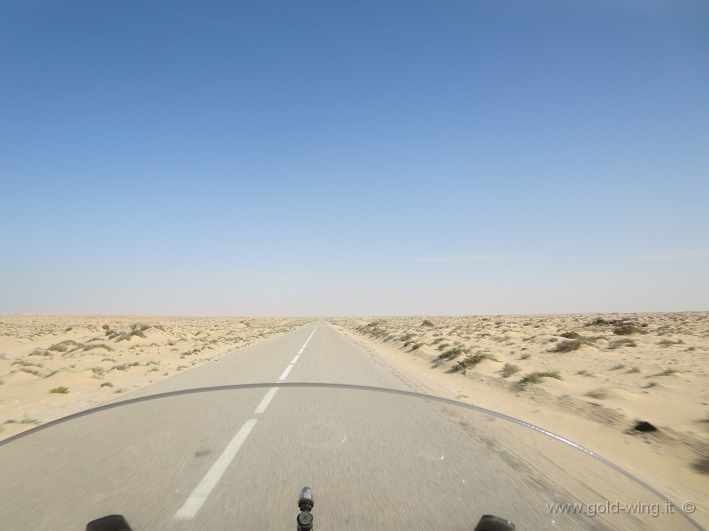 IMG_0834.JPG - Sahara Occidentale: la lunga strada verso nord, attraverso il deserto del Sahara