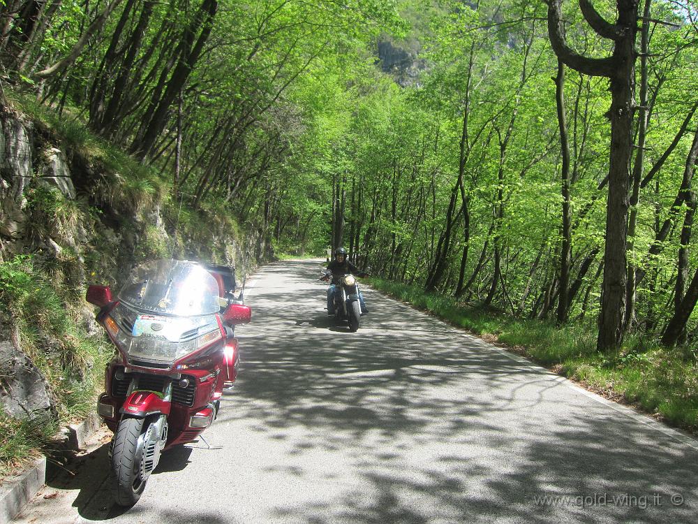 IMG_0142.JPG - Salita verso il passo Rest (m 1.052): Federica, su Harley Davidson Fat Boy 1450