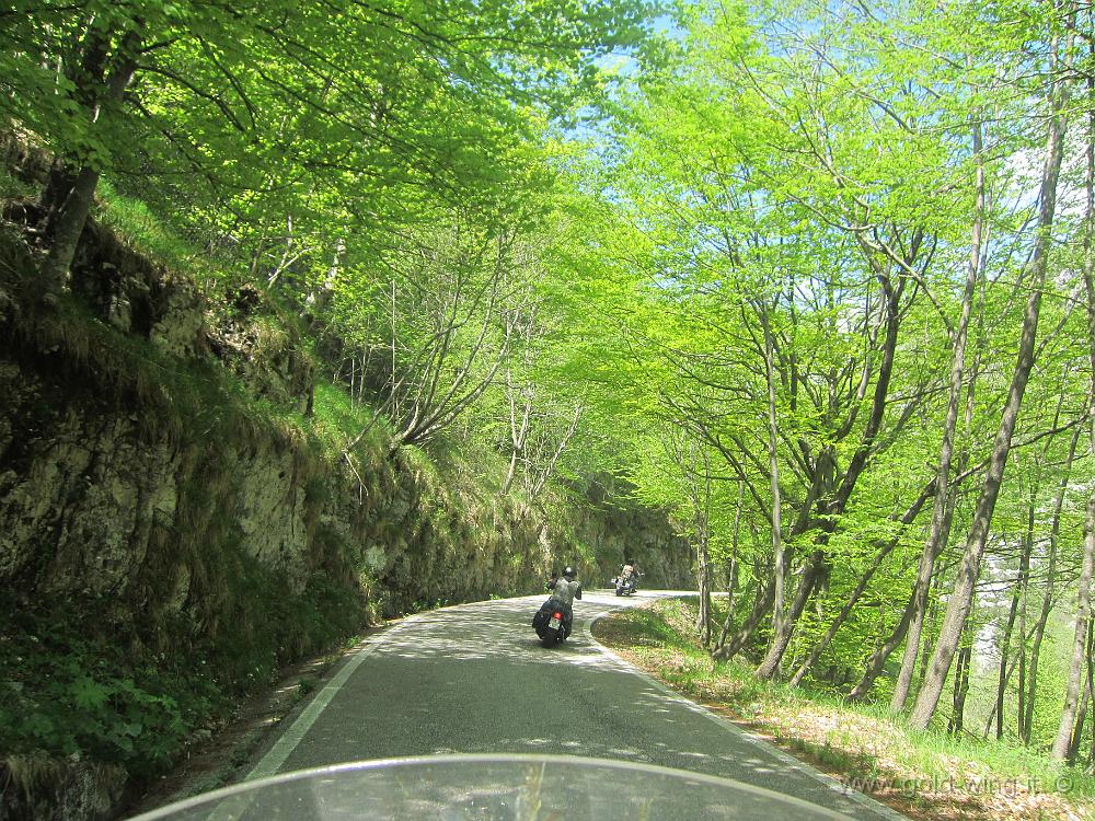 IMG_0152.JPG - Salita verso il passo Rest (m 1.052)